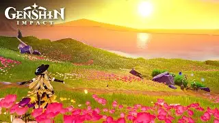 Top 8 Genshin Photo Spot | Genshin Impact