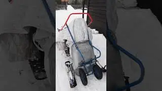 Угомонили Dingo T150 и закрыли сезон благодаря *** квадроциклистам( #dingo #dingot150 #снегоход