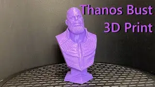 Thanos Bust 3D Print Time Lapse