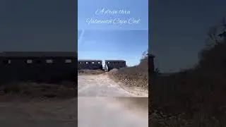 A Sunday Drive through Falmouth, MA