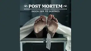 Post Mortem