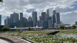 🪷 Beautiful Marina Bay Waterfront Promenade in Singapore