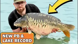Did I just land a new PB Carp & Lake Record Fish? Tollpits Fishery Essex @gocatchfish 
