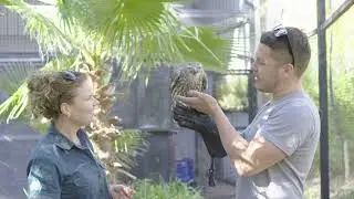 National Zoo & Aquarium (30 Second 