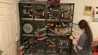 Видеозапись уборки шестисекционной крысиной клетки CN в рождественском стиле!
