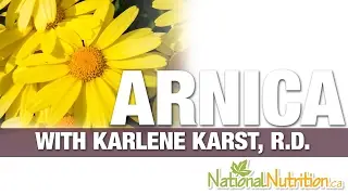 Arnica Montana Benefits in Muscle Aches & Pain - Supplement Review | National Nutrition Canada