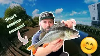 Манчестерский судоходный канал, БОЛЬШОЙ окунь! Удачная короткая сессия!!! #рыбалка #манчестер #20...