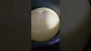 Вот как получилось( #приюткарипиди #собака