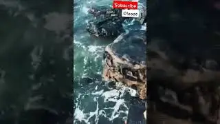 NATURE WATER FALL 💕💕 YTSHORTS ❤️ NATURE WORLD91 Nature shorts 🍃🩳 NATURE WORLD91 🌿🎵💦🌊😚
