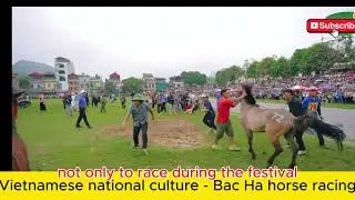 Vietnamese customs - Bac Ha horse racing#discover #movie #culture #tourism #horse racing