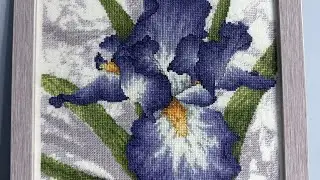 Роскошный ирис. Как появляется вышивка.