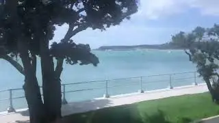 Auckland bus tour