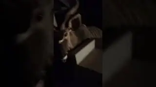 Eland sa