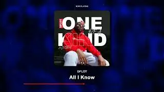 Dplot - All I Know (Visualizer)
