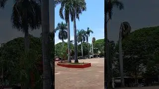 Passeando  em Fernandopolis