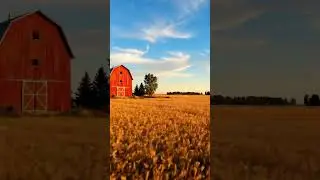 В сельской местности провинции Альберта, Канада.