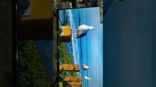 OnePlus TV Y1s