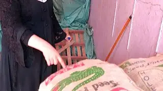 نزلت تقاوي البطاطس المستورده استعدوا لزرعه كل سنه ونتو طيبين