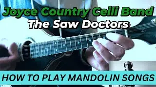Joyce Country Ceili Band | The Saw Doctors | on Mandolin
