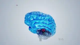 SALUD: En busca de comprender la ceguera facial