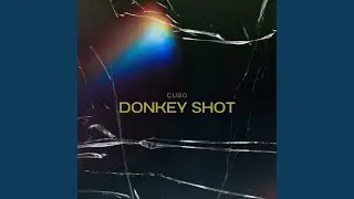 Donkey Shot