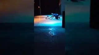 Surprise .. Cobra