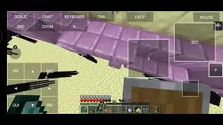 End city  loot Minecraft  sodium mc Minecraft  server #minecraft 