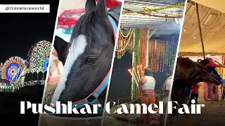 Pushkar Fair 2024: Camels, Culture & Colors |  Travelore