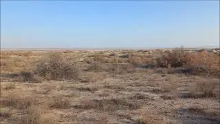 Последний выход на поиски в ушедшем году!