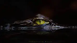 AudioStorm - Inner Eye (Original Mix) // Lowbit //