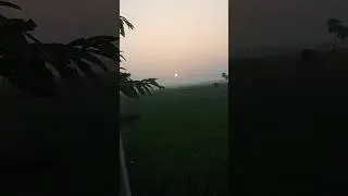 Day : 01💪| Fitness Journey Begins | Morning Walk + Workout Motivation | Aimers World #shorts