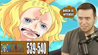 QUEEN OTOHIME AND FISHER TIGER - OP Episode 539 and 540 - Rich Reaction