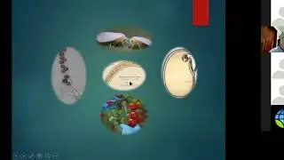 Webinar: Avances Tecnol&oacute;gicos en el control de Virus Rugoso de Tomate.