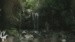 Chasing Waterfalls | Curtis Falls | Mt Tamborine - Cinematic film