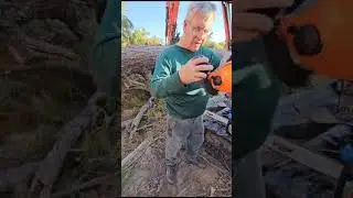 365 chainsaw, a clone of husqvarna with very limited vibration, 65cc, with a lengthy dense pine  cut