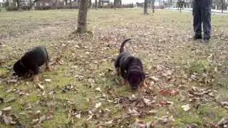 MOV01412