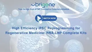 High Efficiency iPSC Reprogramming for Regenerative Medicine: RNA LNP complete kits