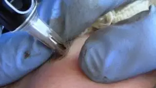 10  techniques in 50 seconds / Permanent  Eyebrows