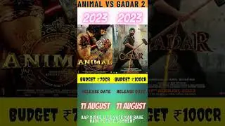 animal versus Gadar 2 movie budget release date #shorts #ytshorts