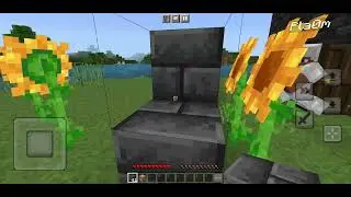 minecraft with heartpearl