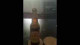 The Shed Brewery 