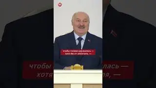 Снюс вместо стратегии: правитель Беларуси обсудил с премьером &laquo;способ забыться&raquo; из-за падежа скота