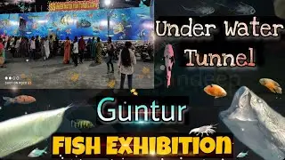 First under water tunnel fish exhibition in guntur || Guntur exhibition || Fish exhibition || Telugu