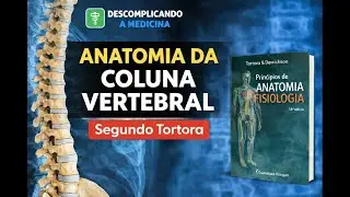 ANATOMIA DA COLUNA VERTEBRAL E FUNÇÕES