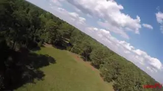 Stubborn Trees