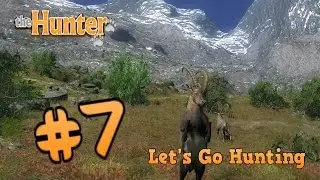Let's Go Hunting #7 Alpine Ibex theHunter 2017