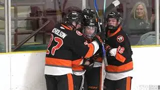 GOHL - Cambridge RedHawks vs Fort Erie Meteors