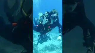 Tauchschein in &Auml;gypten