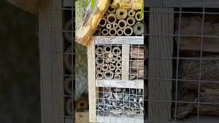#Wildbiene verschlie&szlig;t R&ouml;hrchen im #Insektenhotel #Wildbienen #Bienen #bees #Garten #Natur #nature