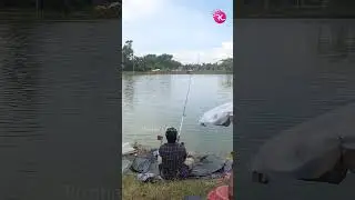 Long Bait Casting  #fishcatching #rupchandafish #fishing #fishcathing #ruhifishcatting